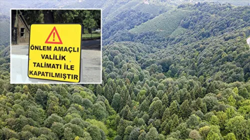 Bir ilde daha ormanlık alanlara girişler yasaklandı
