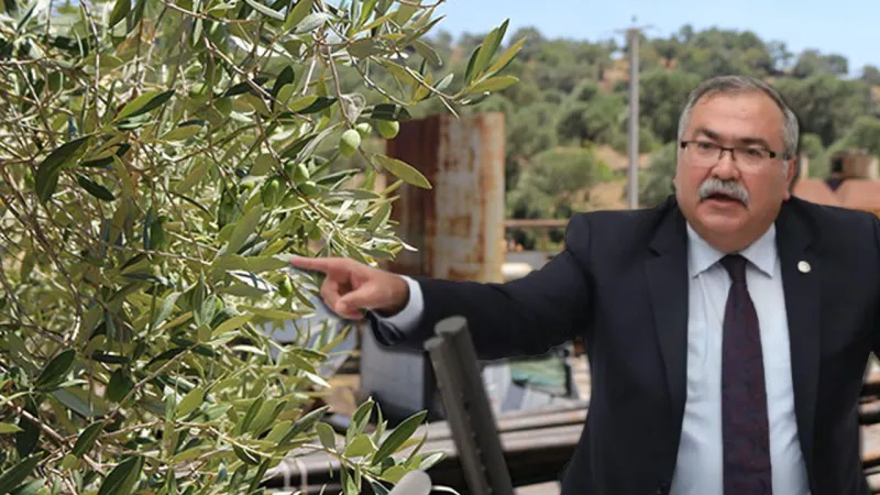 CHP'den 5 köyü etkileyecek projeye tepki! "Katliama imza atılacak"