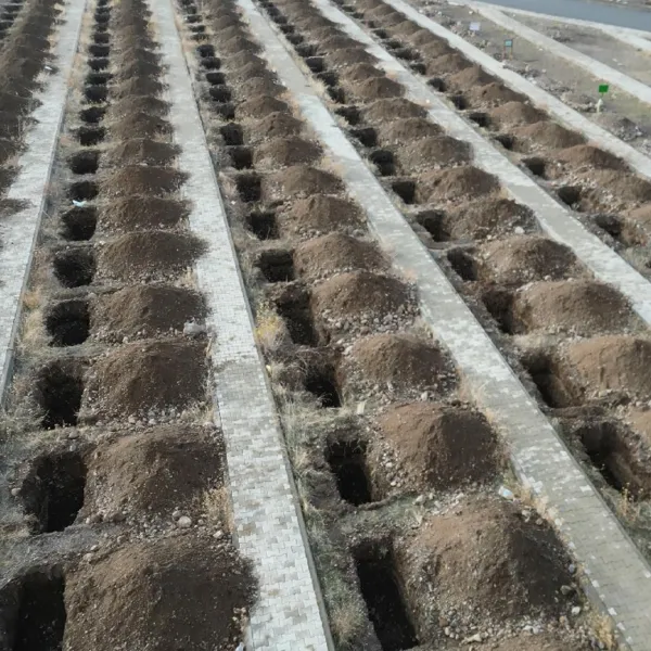 Erzurum'da 500 kışlık mezar kazıldı