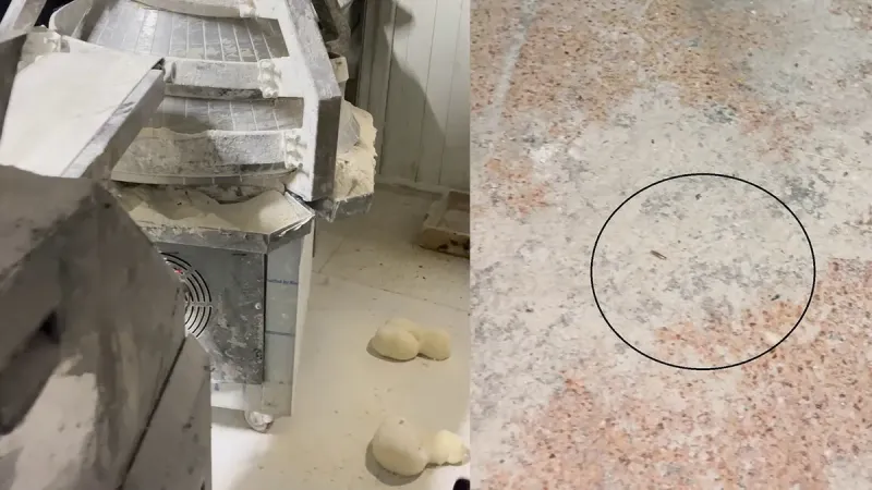 Hatay'da denetimde mide bulandıran görüntüler: Zabıtalar fırında gördüklerine inanamadı