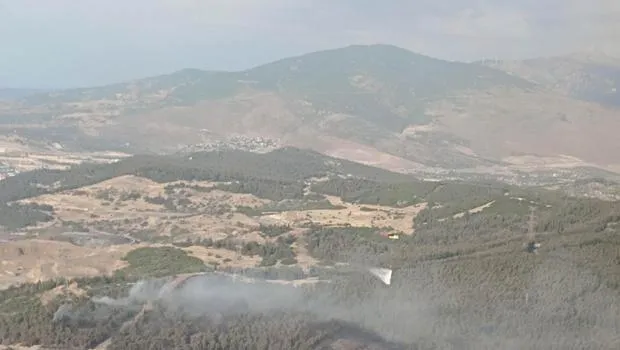 İzmir'de Korkutan Orman Yangını! Kontrol Altına Alındı mı?