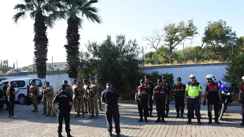 İncir ve Zeytin Hırsızlarına Jandarma Şoku! Aydın'da Neler Oluyor?