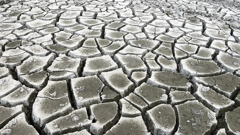 Kuraklık, dünyaya her yıl 878 milyar dolara mal oluyor