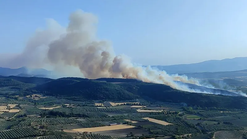 Manisa'da Korkutan Yangın! Ormanlar Alevlere Teslim Mi Oldu?