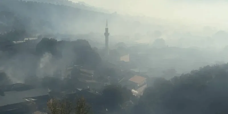Ödemiş yangını 3. gününde: Müdahale ediliyor