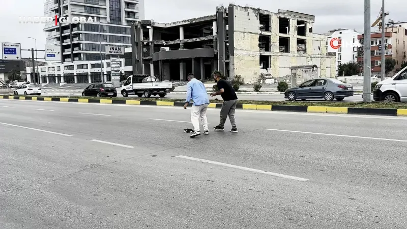 Yolcu dolu minibüsü durdurarak akan trafikte çaresizce bekleyen yavru kediyi kurtardı